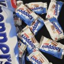 국민간식 | 한 입에 담긴 우유·헤이즐넛·웨이퍼의 완벽한 균형, 독일 국민 간식 크노퍼스 미니 후기