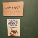 캠핑고양이 도곡점 | 강남고양이카페 캠핑고양이 양재점 후기