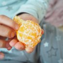 가증농장 이미지