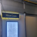 블루코스트 이미지