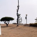 보성지중해야영장 이미지