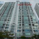 초읍동-19 이미지