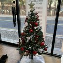 탐나영 | [탐나영] 속눈썹펌 후기