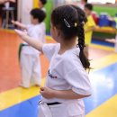 학사태권도 이미지