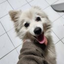 부곡파출소 이미지