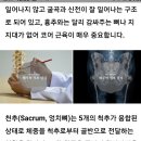 경추 ㅡ 어깨관절 ㅡ 흉추 ㅡ 요추 ㅡ 천추 이미지