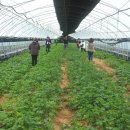 김민순 농장 이미지