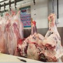 대우축산물 이미지