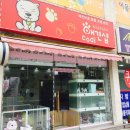 코디애견샵 이미지