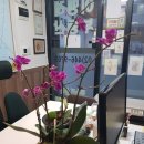 봄이오는소리공인중개사사무소 이미지