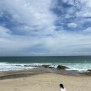 창포곶펜션 | 2박3일 영덕여행 2일차 (베르데 레스토랑, 고래불해수욕장, 메타세쿼이아 숲, 카페 보움)