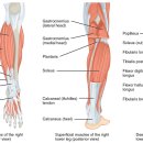 용천한의원 이미지