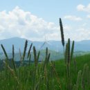 풍경목장 이미지