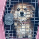 기동리 마을회관 이미지