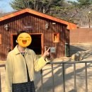 대공목장 이미지