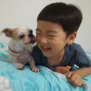 푸른 꿈나무의 집 이미지