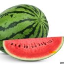 서울리드내과의원 이미지