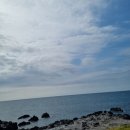 #갈치집 이미지