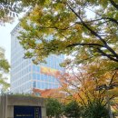 부산광역시청 Daum카페