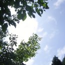 숲이좋아민박 이미지