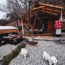 양지마을로 | 충주 바베큐장 추천 양지마을포레스트 몸만 가는 캠핑 감성 힐링 후기