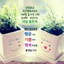 세잎클로버 - 의정부시 회룡로138번길 10 | 세잎클로버