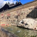 박달중학교 | 🍂숨 막히는 절경! 합천 가야산 만물상 코스 가을 단풍 (feat. 해인사 팔만대장경)