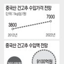 국산 건고추 생산기반 붕괴 막으려면 이미지