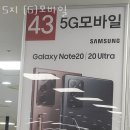 5지모바일