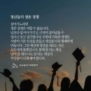 청년들의 생존 경쟁 이미지