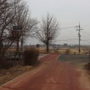 디엠지스테이 이미지