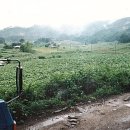 정희축사 이미지