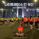 영월 인 더 나이트 | 2025 광안리 나이트레이스 인 부산 완주후기