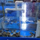 농수산물시장 이미지