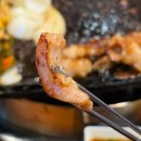 2382 | [경기/화성] 동탄 북광장 정철 황소곱창 - 풍자 또간집 대창 맛집 내돈내산 솔직후기