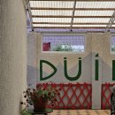 알틴 | 키르기스스탄 여행 카라콜 등산용품 등산 스틱 대여 알틴아라샨 후기