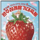 CU전주삼례로점 | 2026 전북 3월 완주삼례딸기축제 가이드｜전주근교 봄축제 + 전주여행 1박2일 코스 정리