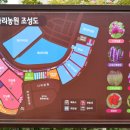양주 백일홍 축제.. 이미지