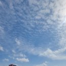 오아시스휴양펜션 | [공지] 귤꽃향기나는 오아시스휴양펜션