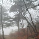 홍상모난청센터 이미지