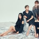 위너아이스 이미지