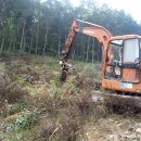 버들골농장 이미지