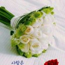 박*하 - 안양시 만안구 양화로36번길 | 박*하