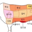 명월보양식 이미지