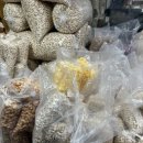 대교강냉이 이미지