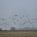 경기둘레길 김포3코스 이미지