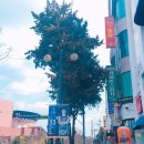 파파존스전주점 이미지