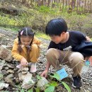 화순초등학교이서분교장 이미지