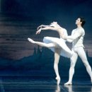 성인발레 이미지