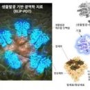 암 초기 증상 악성 암세포 찾는 신기술, 획기적 치료법 빛 치료 '광光면역 요법' 암 치료방법 종류 암 면역치료, 표적항암치료제 이미지